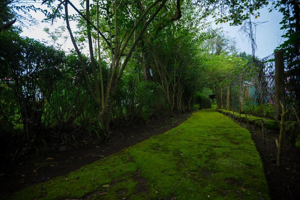 Hotel Kodai International Kodaikanal Ngoại thất bức ảnh